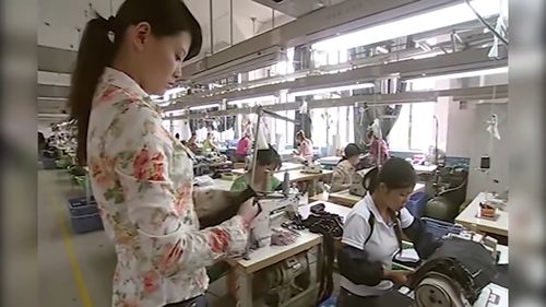 悠悠 金凤来服装厂面试,手艺太厉害被领班当样板参考,员工嫌弃