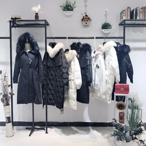 品牌大码女装 专业产品介绍与批发代理指南